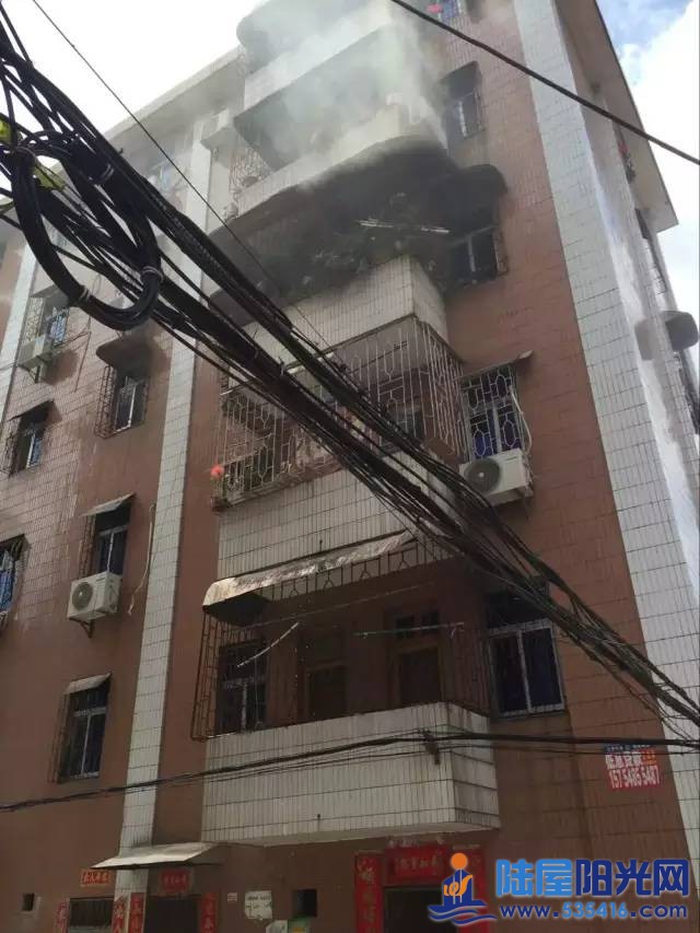 334.jpg