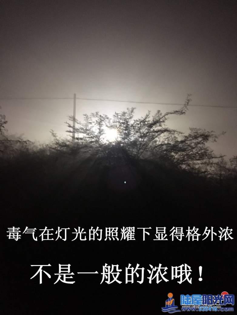 002228qxpt0t244nlnz8d4.jpg.thumb.jpg